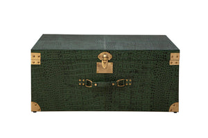 Storage Trunk