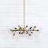 Pellman Chandelier by FOUR HANDS