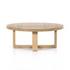 Liad Coffee Table - Natural Nettlewood by Four Hands