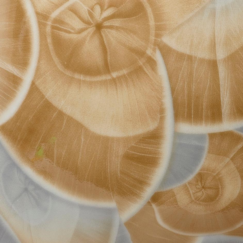 Tranquil Ceramic Decorative Vase by Jamie Young