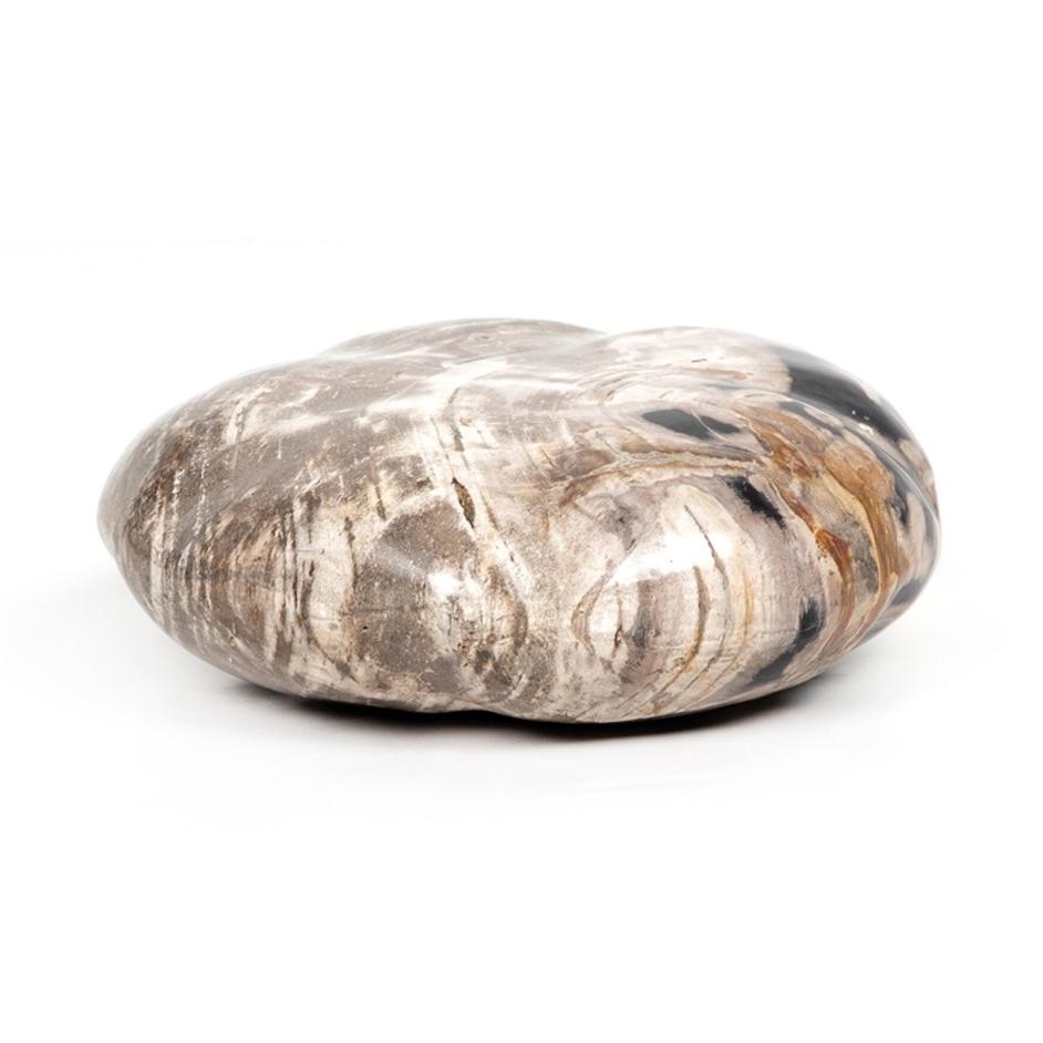 Petrified Wood Organic Sculpture, Set Of 3 - Dark Petrified Wood by Four Hands