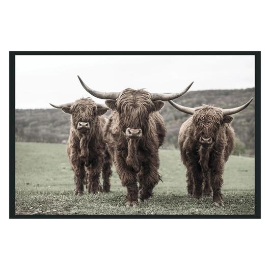 Highland Photography 48x72 by Classic Home