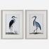 Shore Birds Framed Prints by Uttermost