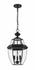 Westover 3 Light Outdoor Chain Mount Ceiling Fixture in Black Finish by Z-Lite