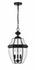 Westover 3 Light Outdoor Chain Mount Ceiling Fixture in Black Finish by Z-Lite