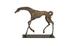 Prancing Horse Sculpture, Bronze by PHILLIPS COLLECTION