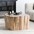 Norwest Petrified Wood Coffee Table Natural by Classic Home