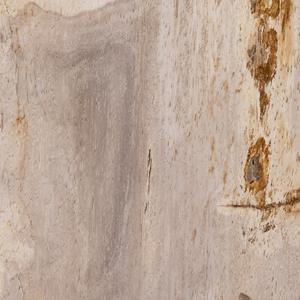 Galen End Table - Light Petrified Wood by Four Hands