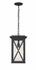 Brookside 1 Light Outdoor Chain Mount Ceiling Fixture in Black Finish by Z-Lite