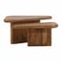 Varen Coffee Table Set of 2 by Curated Collections