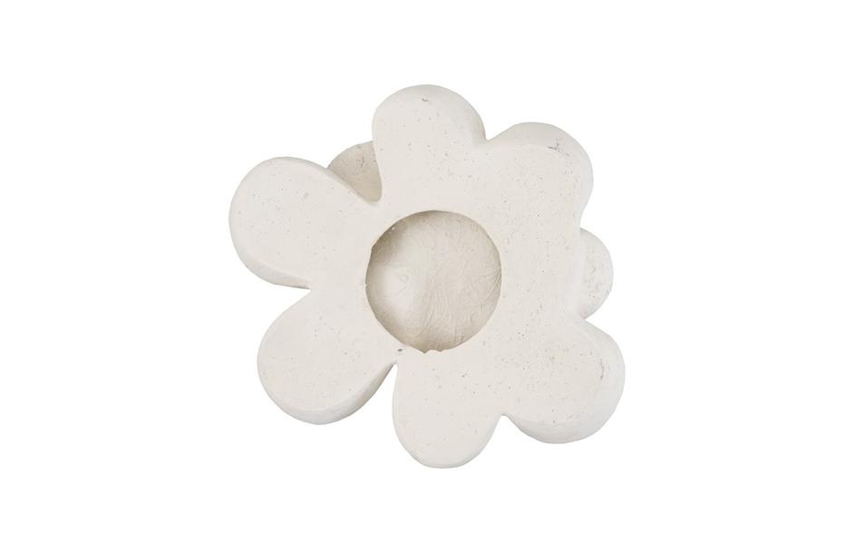 Oviferum Succulent Wall Art , White Stone by PHILLIPS COLLECTION