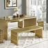 Randolph Medium Stainless Steel Bench In Gold by Modway Furniture