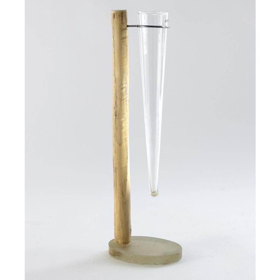 Wooden Trunk With Glass Small by BIDK Home