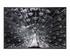 Silver Plumage - 72" X 48" - Charcoal Frame by Sunpan