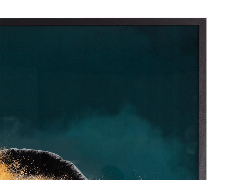 MIND OVER MATTER - 40" X 60" - BLACK FRAME by Sunpan