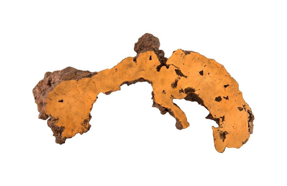 Burled Root Wall Art, Faux Bois, MD by PHILLIPS COLLECTION