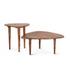 Salem 37" Sheesham Wood Coffee Table, Natural by Home Trends & Design