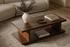 Miri Coffee Table Walnut by Moes Home