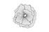 Poppy Flower Wall Art, Silver/Black, Small by Phillips Collection