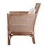 Tatum Rattan Accent Arm Chair In Canary Brown by New Pacific Direct