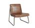 Anton Lounge Chair - Bravo Cognac by Sunpan