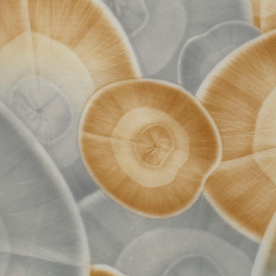 Serene Ceramic Table Lamp with Raffia Shade by Jamie Young