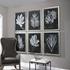 Foliage Framed Prints by Uttermost