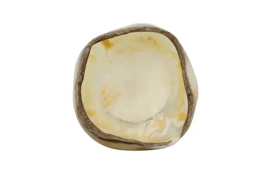 Cast Onyx Bowl, White Cloud by Phillips Collection