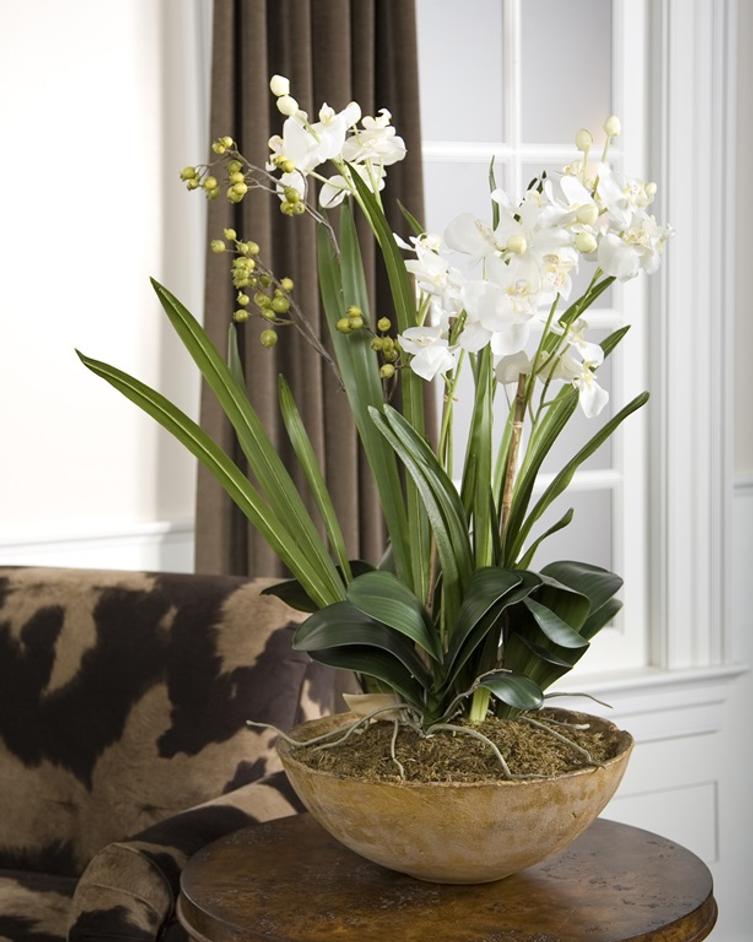 Moth Orchid Planter by Uttermost