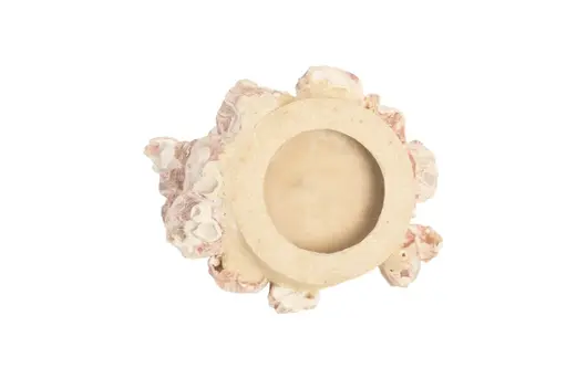 Barnacle Cluster Wall Art, Medium by PHILLIPS COLLECTION