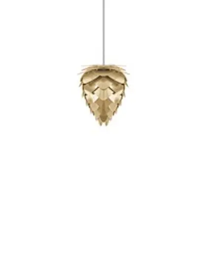Conia Brass Medium Plug-In Pendant with Black Cord by UMAGE
