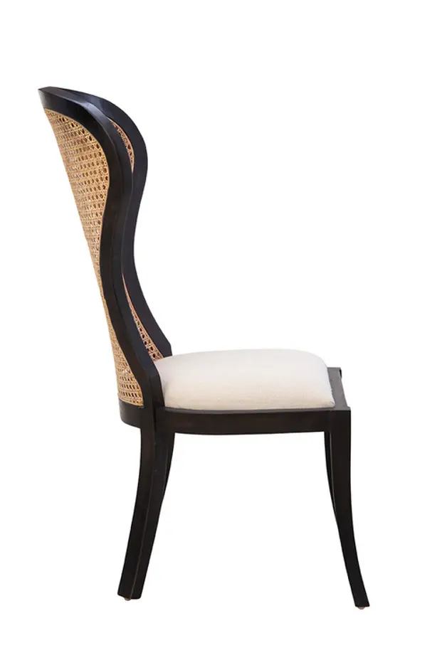 Black Adrina Side Chair by Furniture Classics