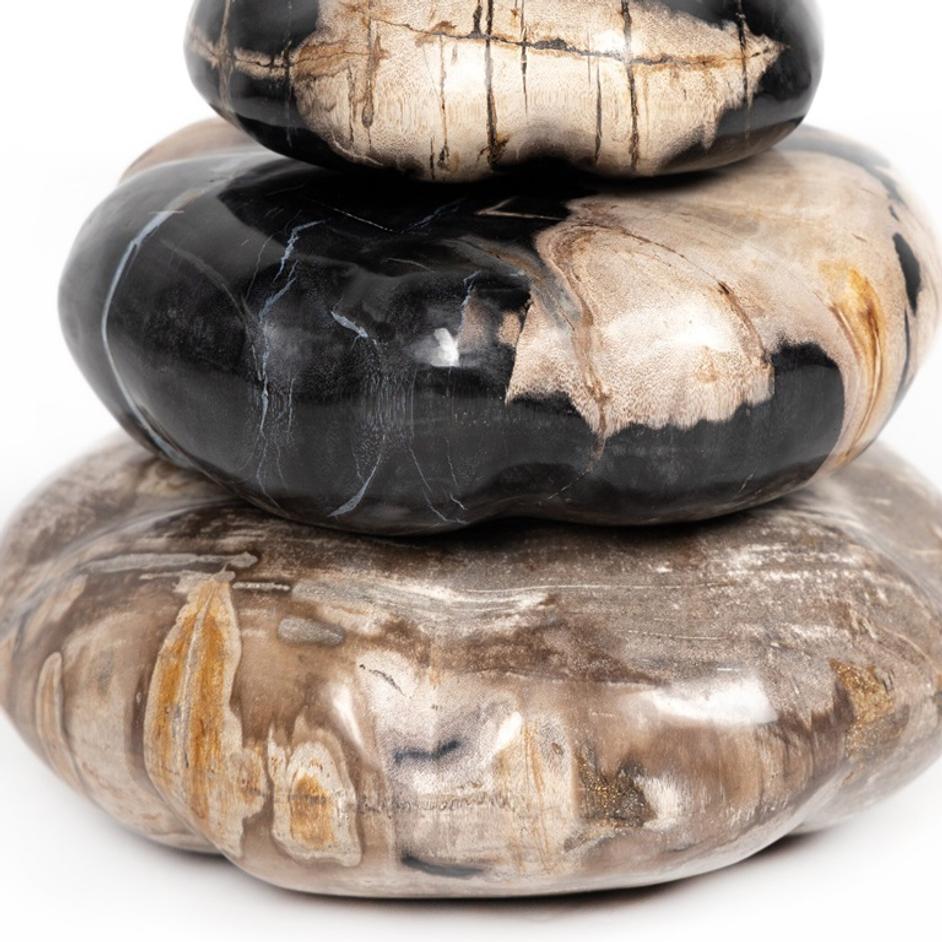 Petrified Wood Organic Sculpture, Set Of 3 - Dark Petrified Wood by Four Hands