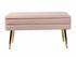 Ziva Blush Velvet Storage Bench by tov furniture
