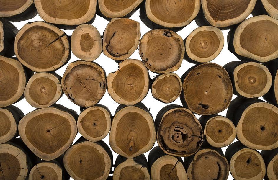 Boscage Console Table, Iron Frame by PHILLIPS COLLECTION