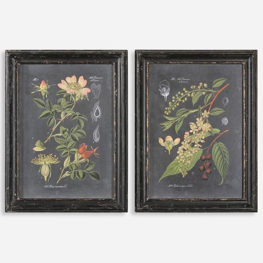 Midnight Botanicals Wall Art S/2 by Uttermost