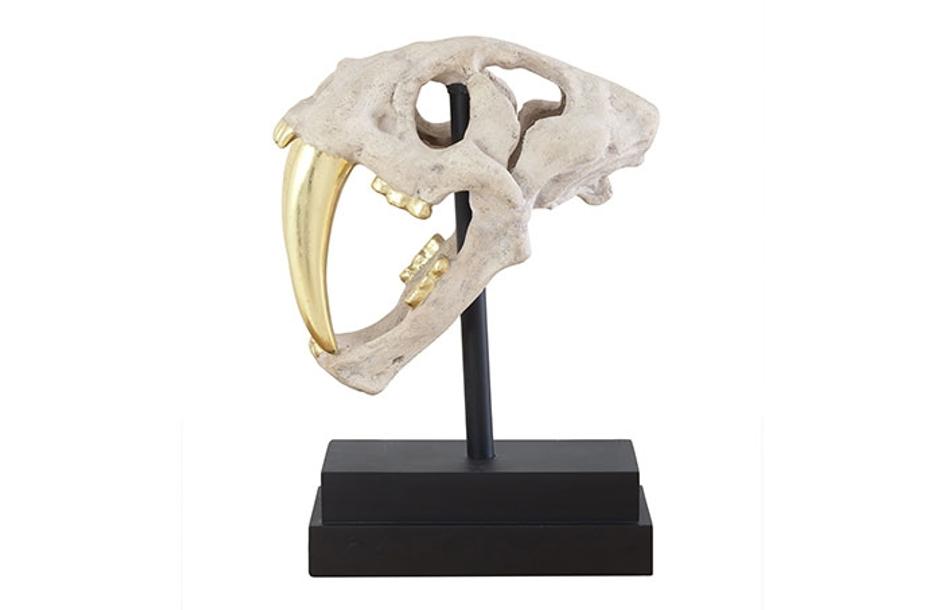 Saber Tooth Tiger Skull, Roman Stone by PHILLIPS COLLECTION
