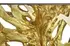 Cast Root Framed Console Table, Wood Frame, Resin, Gold Leaf by Phillips Collection
