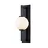 Darwin Wall Sconce by Troy