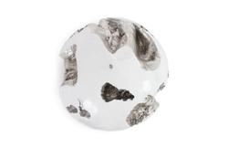 Cast Root Wall Ball, Silver Leaf, White, Large by PHILLIPS COLLECTION