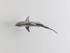 Whaler Shark, Silver Leaf by PHILLIPS COLLECTION