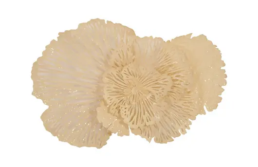 Flower Wall Art, Ivory, MD by PHILLIPS COLLECTION