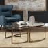 Rhea Nesting Coffee Table by Uttermost