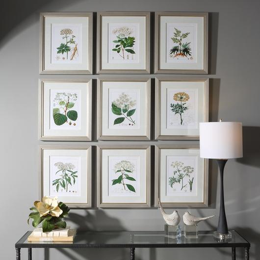 Antique Botanicals Framed Prints, S/9 by Uttermost