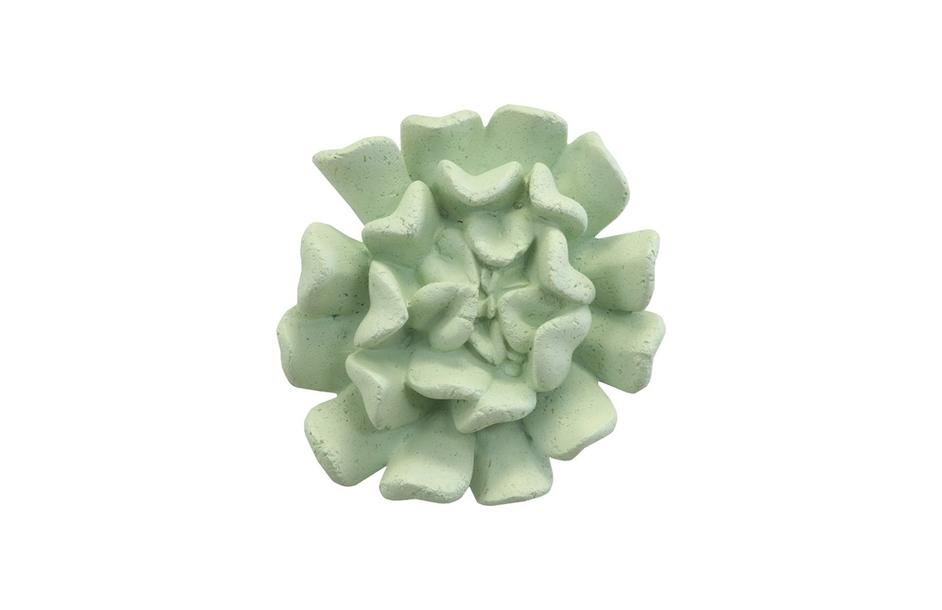 Topsy Turvy Succulent Wall Art, Jade by PHILLIPS COLLECTION
