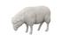 Sheep Sculpture, Gel Coat White by Phillips Collection