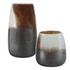 Desert Wind Glass Vases, S/2 by Uttermost