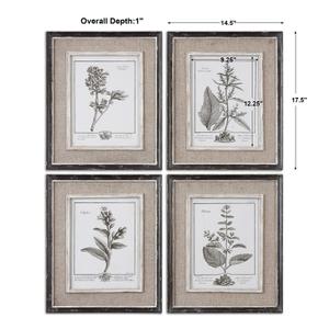 Casual Grey Study Framed Art Set/4 by Uttermost