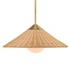 Phuvinh 1 Light Rattan Shade Pendant by Uttermost