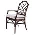 Kara Rattan Arm Chair In Paloma Brown by New Pacific Direct